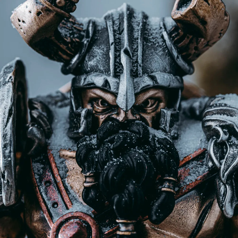 Viking Raider